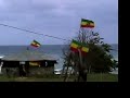 life is a dream n7 jamaica zion irenzo rastafari lion flag