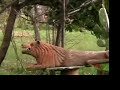 life is a dream n7 jamaica zion irenzo rastafari lion flag
