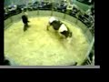 Bakewell Cattle Market