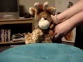 Geronimo the giraffe in quicksand