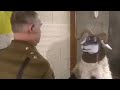 videos de Introducing Harris - Combat Sheep - BBC comedy animation
