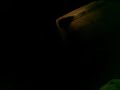 ghetto girl farts (or queefs) in car