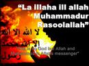 My 1st Islamic Phrase Book