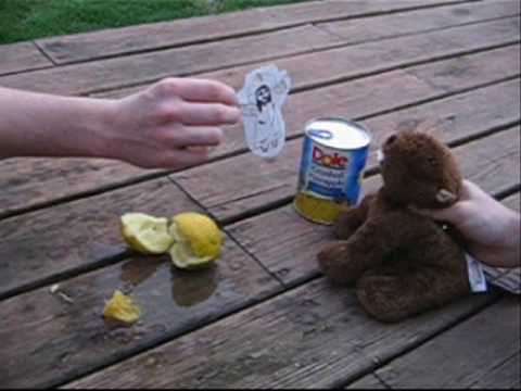 Beavermann VS. The Evil Citrus Fruit