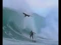 metaphysical-fronton-bodyboard.html