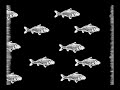 Escher