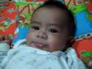 Cucuku Ikhwan