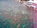 Roatan