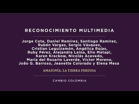 Multimedia