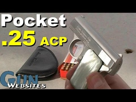 Bauer .25 acp Pocket Pistol