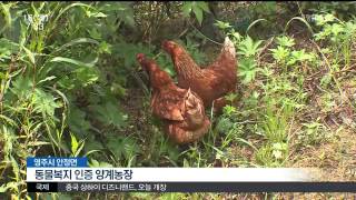 뉴스투데이