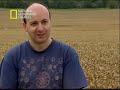 el fraude de los circulos de maiz 1/5