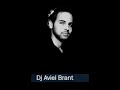 Aviel Brant - Girl Just Wanna Have Fun (+Direct DL)