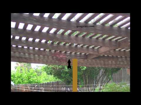 how to repair i joist
