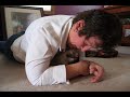Picking a Pug Puppy (or Puppies)