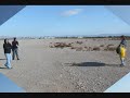 Go Fly A Kite.wmv