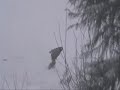 Fernie Clips 07/08