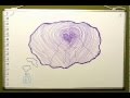 Khott's love story
