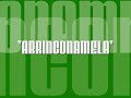ARRINCONAMELA - MIKE Y SU CORAZON