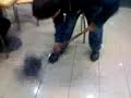 Mochi en penitencia :|