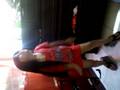 videos de CREU NELAS