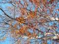 Mother Nature\ Mother Nature\