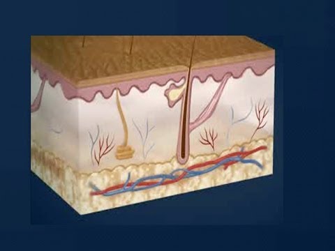how to treat 4th degree burns