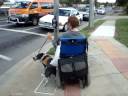 Dogbook Movie: Cyco pushing the Crosswalk button