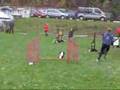 video agility competition in...