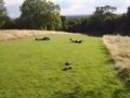 stupid-videos-3-home-edition.html