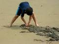 Digging Clams