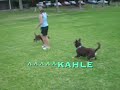 Agility Class 25/2/08