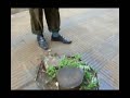 Aplicação de herbicidas Aplicação de herbicidas
