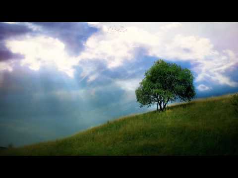 DJ Trenix* Trenix - Becoming You DJ Trenix* Trenix - Becoming You