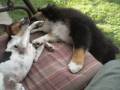 videos de baby Meeka