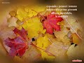 Buon mese di novembre 09B