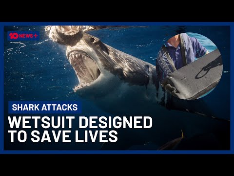 Nuove mute resistenti agli attacchi degli squali messe alla prova | 10 notizie+ Nuove mute resistenti agli attacchi degli squali messe alla prova | 10 notizie+