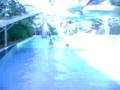 En WEM