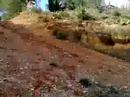 barranquillo