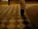 el gula en el mastil