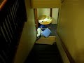 Stair Sledding Stair Sledding