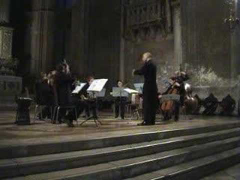 Monteverdi - Sinfonie Ritornelli and ...