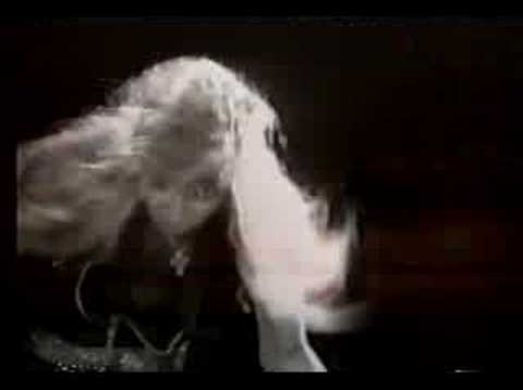 Poison - Life Goes On