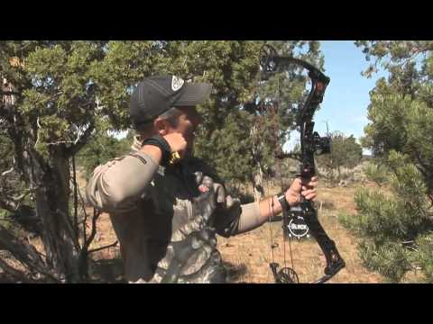 how to adjust iq bow sight