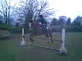 Short Vid Of Abbi Jumping Larry Short Vid Of Abbi Jumping Larry