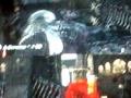 degollamiento gears 2