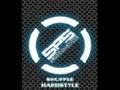 videos de sps shuffle songs