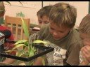I F    Cox School Project