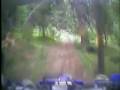 videos de Ravens roost 2nd part