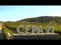 CATA DE HITO ROSADO-BODEGAS CEPA 21